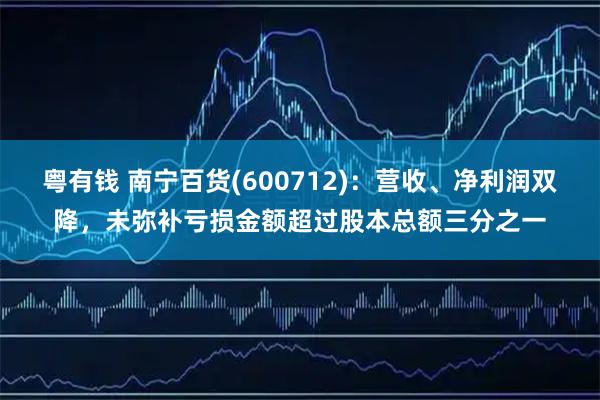 粤有钱 南宁百货(600712)：营收、净利润双降，未弥补亏损金额超过股本总额三分之一