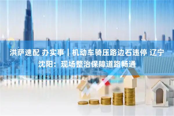 洪萨速配 办实事｜机动车骑压路边石违停 辽宁沈阳：现场整治保障道路畅通